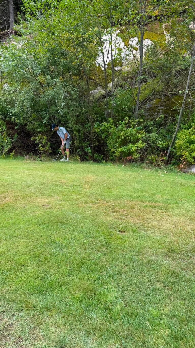 A golfer plays a shot near the trees at the edge of a green fairway.
