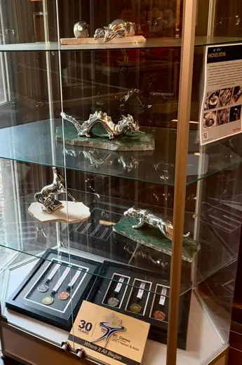 Glass display case with silver metal sculptures and framed medals at Rio Tinto BC Works.